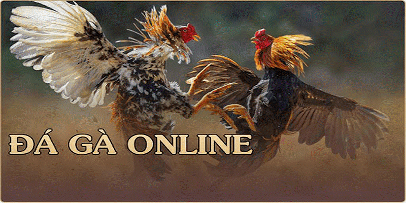 BJ388 Online đá gà